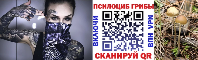 Галлюциногенные грибы мухоморы  Когалым 