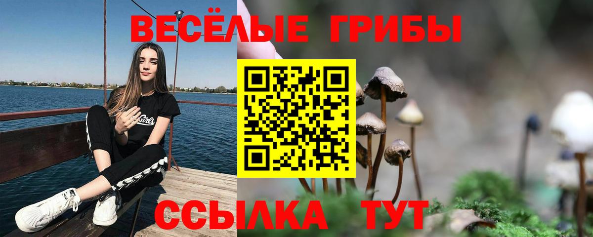 Псилоцибиновые грибы прущие грибы Когалым